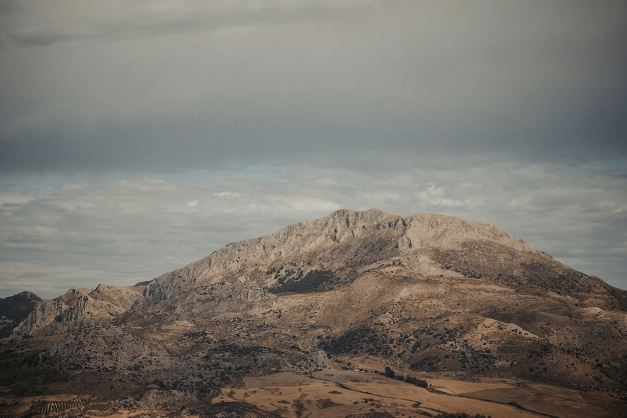 Almora Partners Report